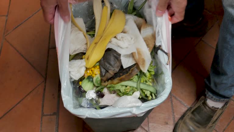 Best Same-Day Junk Removal Services  in Royalton, MN